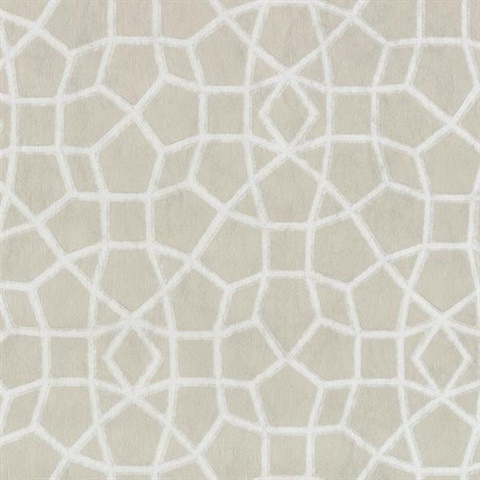 Beige Sculptural Web Trellis Wallpaper