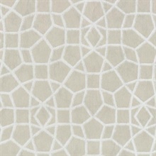 Beige Sculptural Web Trellis Wallpaper