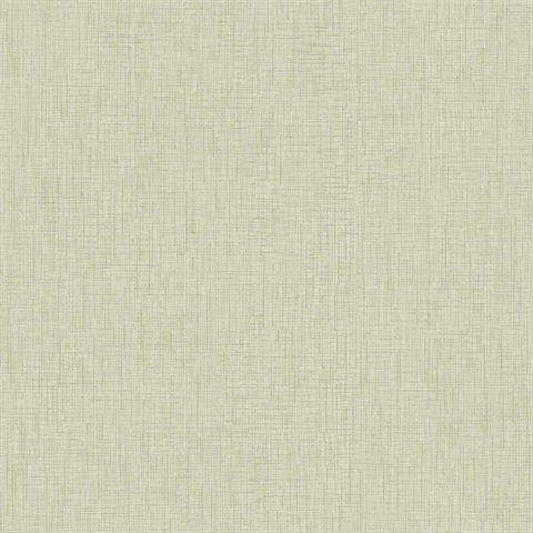 AF6542 | Beige Threaded Silk Wallpaper