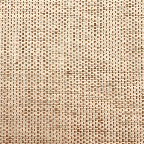 Beige Wallquest BX10042 Woven BX10042 Grasscloth Wallpaper
