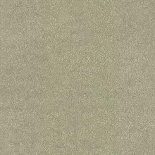 Beige Weathered Texture Faux Wallpaper