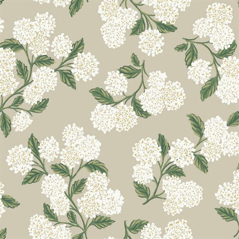 Beige & White Hydrangea Classic Flowers Wallpaper