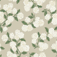 Beige & White Hydrangea Classic Flowers Wallpaper