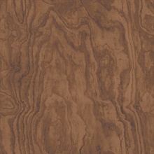 Bentham Brown Plywood Wallpaper