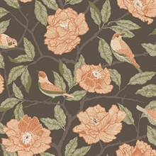 Bernadina Black Rosebush Wallpaper