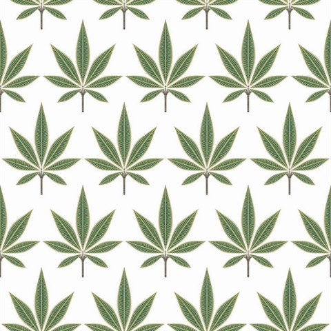 Bicton Green Fern Leaf Toile Wallpaper