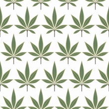 Bicton Green Fern Leaf Toile Wallpaper