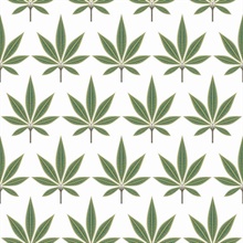 Bicton Green Fern Leaf Toile Wallpaper