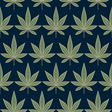 Bicton Hello Spring Fern Leaf Toile Wallpaper