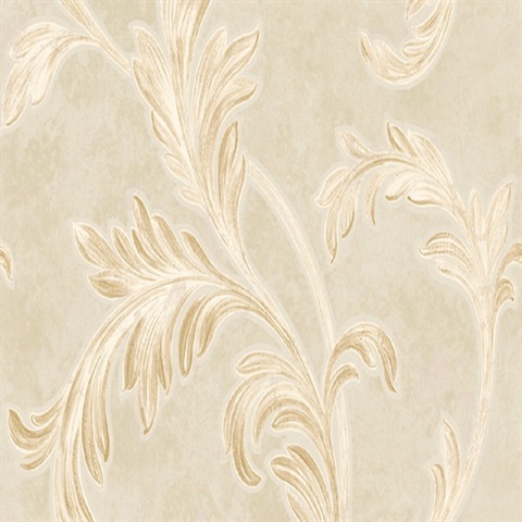 Biltmore Scroll