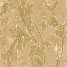 Biltmore Scroll