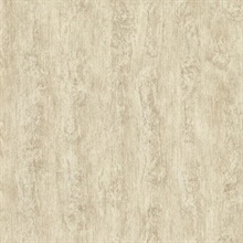 Birch Silk