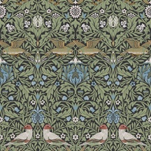 Bird Multicolor Floral Thicket Wallpaper