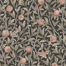Bird & Pomegranate Charcoal Black Wallpaper