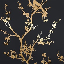 Bird Watching Black & Gold Peel and Stick Wallpaper