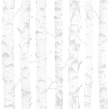 Birdie Grey Birch Tree Wallpaper