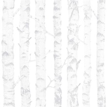 Birdie Grey Birch Tree Wallpaper