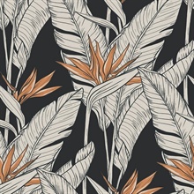 Birds of Paradise Onyx & Metallic Copper Peel and Stick Wallpaper