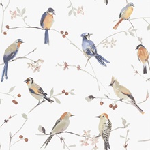 Birdsong Orange Trail Wallpaper