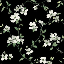 Black Acrylic Texture Dogwood Floral & Leaf Wallpaper