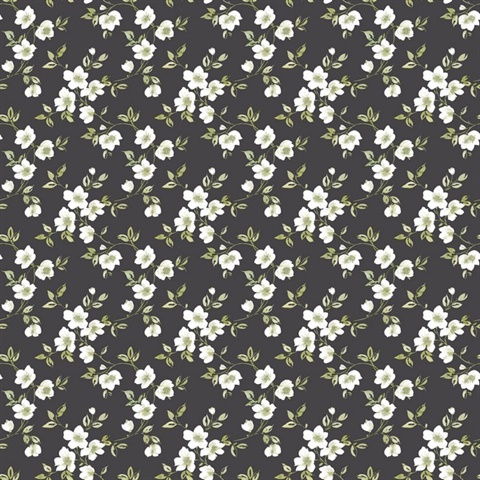 Black Anenome Floral Mini Wallpaper