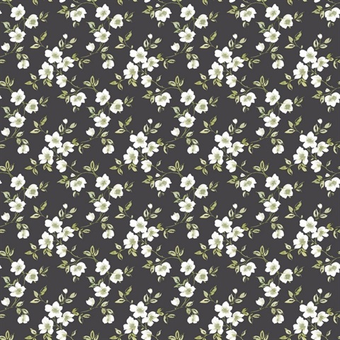Black Anenome Floral Mini Wallpaper