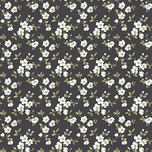 Black Anenome Floral Mini Wallpaper