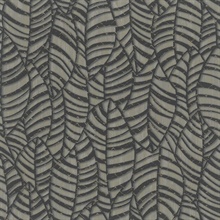 Black &amp; Brown Glitter Weathered Leaves Silhouette Wallpaper