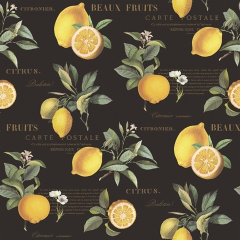 Black Citron Lemon & Leaf Botanical Wallpaper