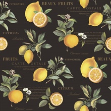 Black Citron Lemon &amp; Leaf Botanical Wallpaper