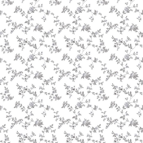 Black Delicate Small Floral & Leaf Illustrated Wallpaper