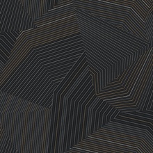 Black Dotted Maze Geometric Dot &amp; Line Wallpaper