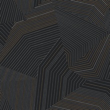 Black Dotted Maze Geometric Dot & Line Wallpaper