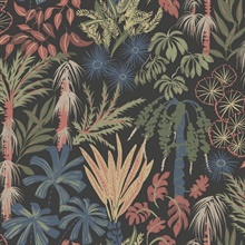 Black Everglades Tropical Palm Trees Wallpaper