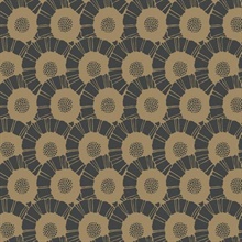 Black Floral Coco Bloom