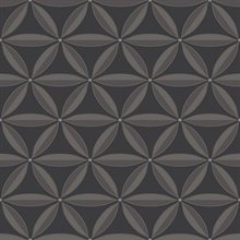 Black Floral Geometric Trellis Shape Wallpaper