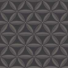 Black Floral Geometric Trellis Shape Wallpaper