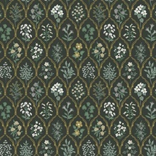 Black & Gold Hawthorne Vintage Botanical Arches Rifle Paper Wallpaper