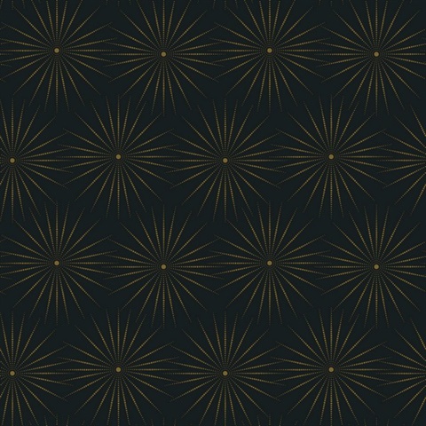 Black & Gold Starlight Modern Metallic Sunburst Dots