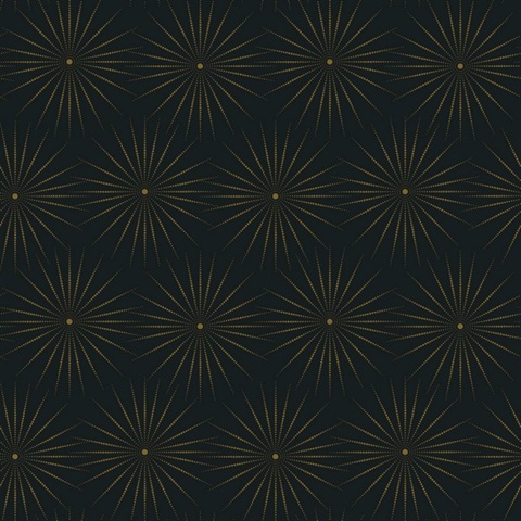 Black & Gold Starlight Modern Metallic Sunburst Dots