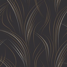Black Graceful Wisp Curve Lines Wallpaper