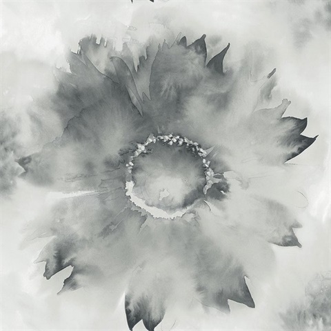 Black & Gray Commercial Sunflower Wallpaper