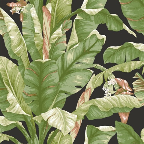 Black & Green Banana Leaf Peel and Stick Wallpaper