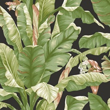 Black &amp; Green Banana Leaf Peel and Stick Wallpaper