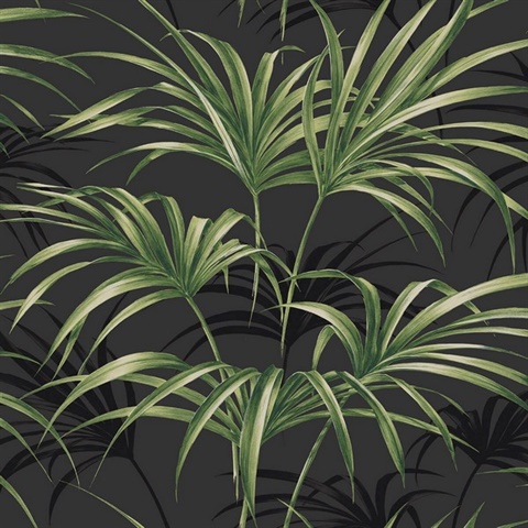Black & Green Commercial Open Palm Leaf Wallpaper