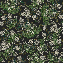 Black & Green Cornflower Floral Blooms Wallpaper
