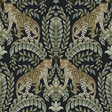 Black &amp; Green Jungle Leopard &amp; Leaf Wallpaper
