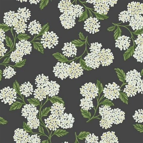 Black, Green & White Hydrangea Floral Rifle Paper Wallpaper
