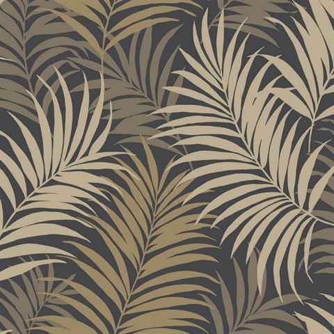 Ln Black Grey Beige Tropical Large Palm Leaf Wallpaper