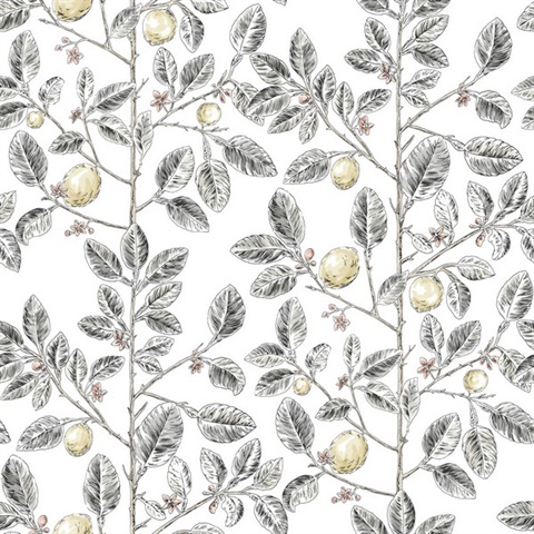 Black & Grey Lemon Tree Toile Wallpaper